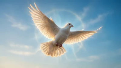 Dove Symbolism