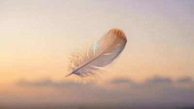 Feather Symbolism